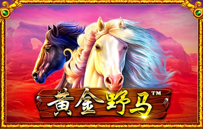 非凡体育官网入口下载